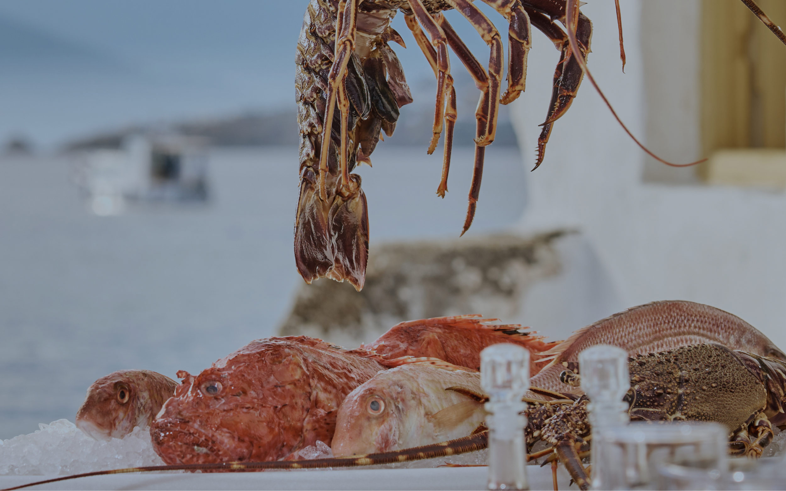 Sea Satin Market by Caprice Mykonos